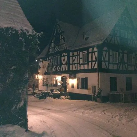 Zur Burg Grenzau Apartment *