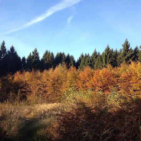 Zur Burg Grenzau * Höhr-Grenzhausen
