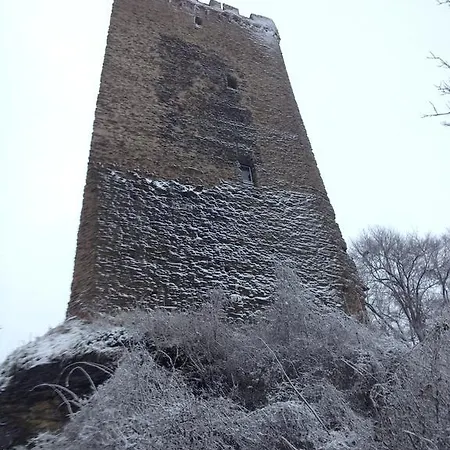 Zur Burg Grenzau Höhr-Grenzhausen