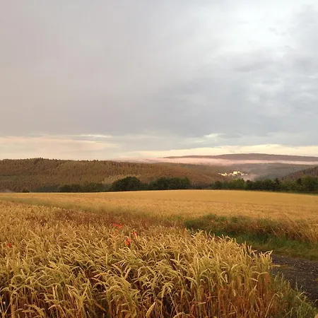 Zur Burg Grenzau *